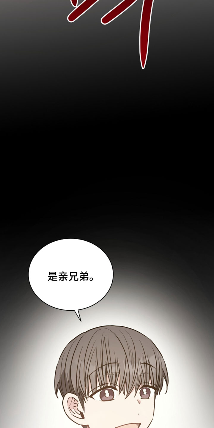 星光与谎言漫画,第53章：以后和我没关系4图
