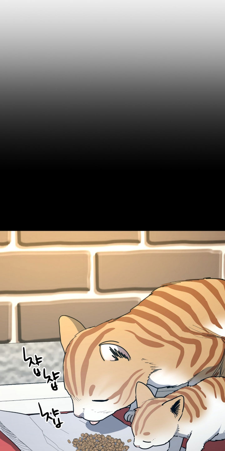 星光与谎言漫画,第61章：跟踪狂4图