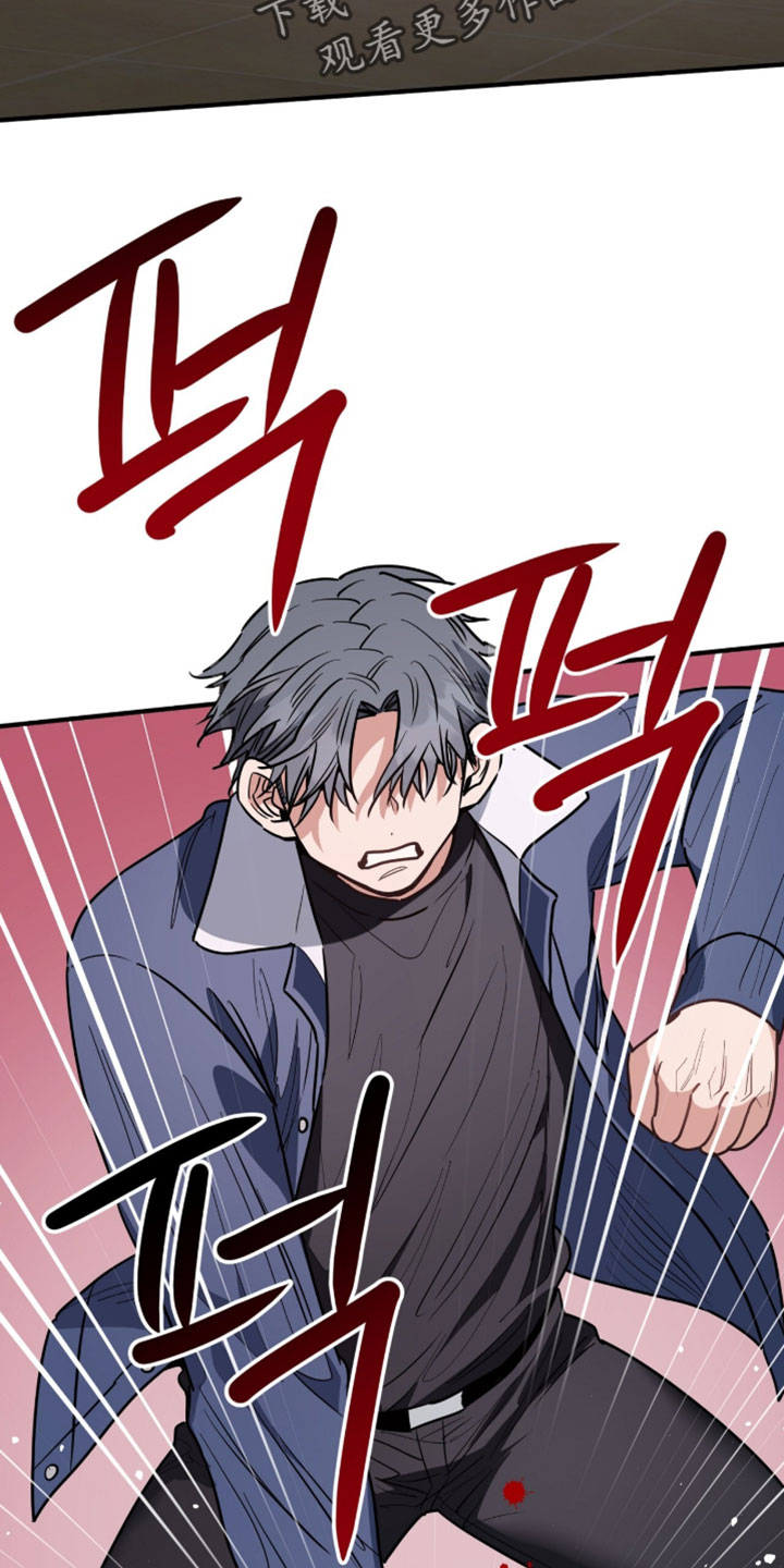 星光与谎言漫画,第53章：以后和我没关系3图