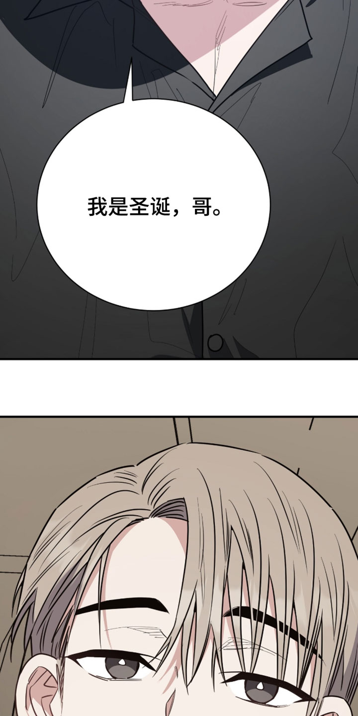 星光与谎言漫画,第52章：我是真的圣诞1图