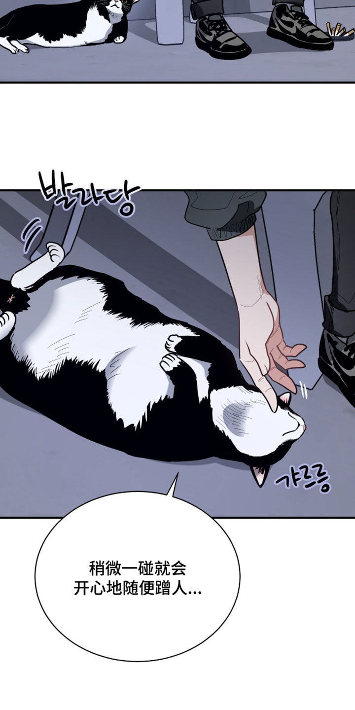 星光与谎言漫画,第60章：和你有什么关系2图