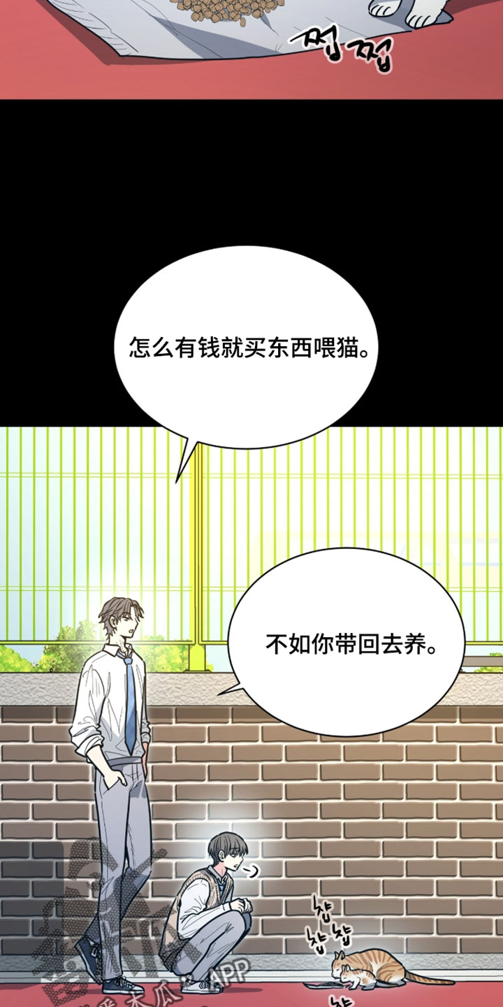 星光与谎言漫画,第61章：跟踪狂5图