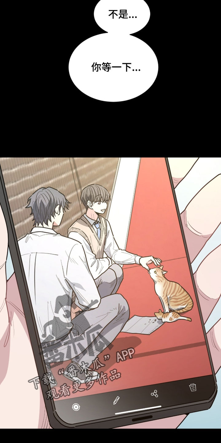 星光与谎言漫画,第61章：跟踪狂4图