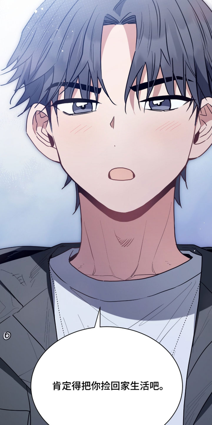 星光与谎言漫画,第61章：跟踪狂5图