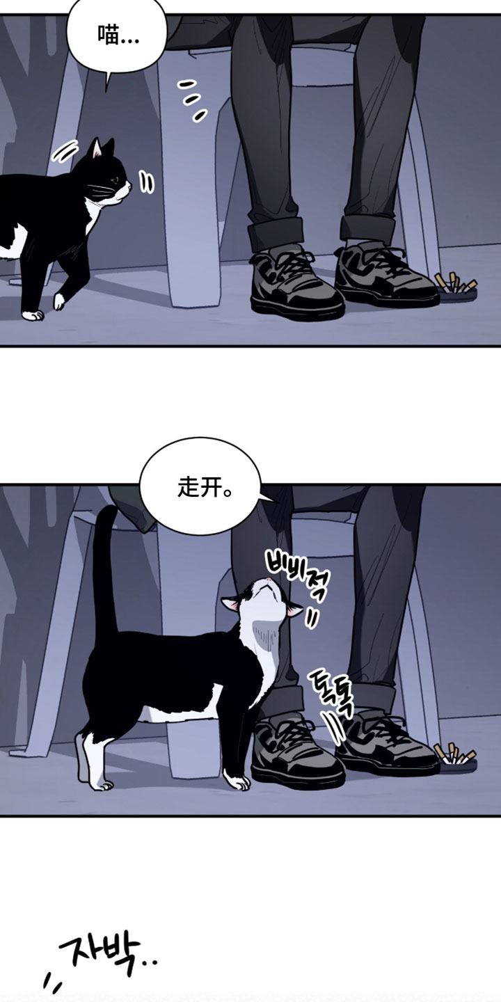 星光与谎言漫画,第60章：和你有什么关系3图