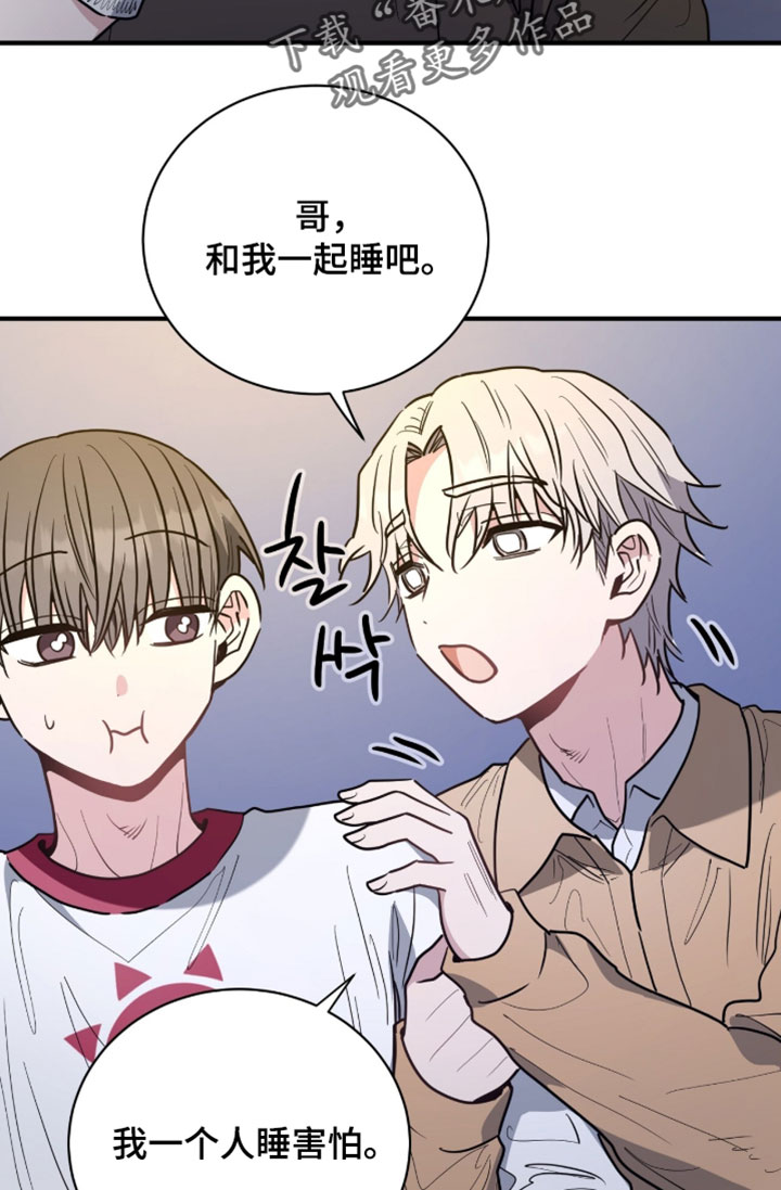 星光与谎言漫画,第60章：和你有什么关系2图