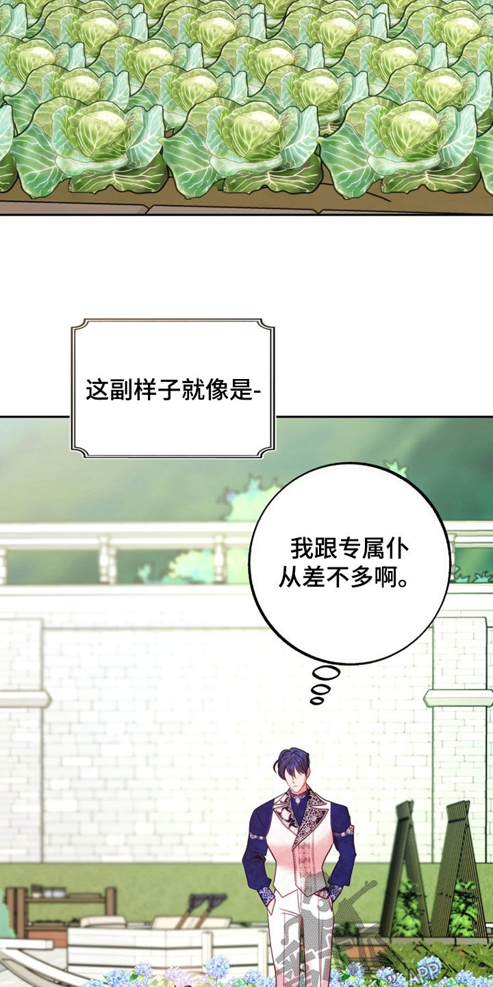 第48章：真不爽3