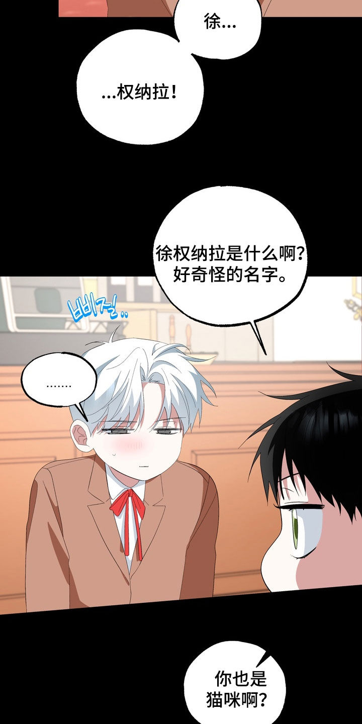 我的老鼠学长漫画,第38章：不是亲生的1图