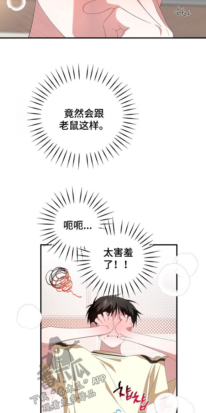 我的老鼠学长漫画,第36章：完蛋了3图