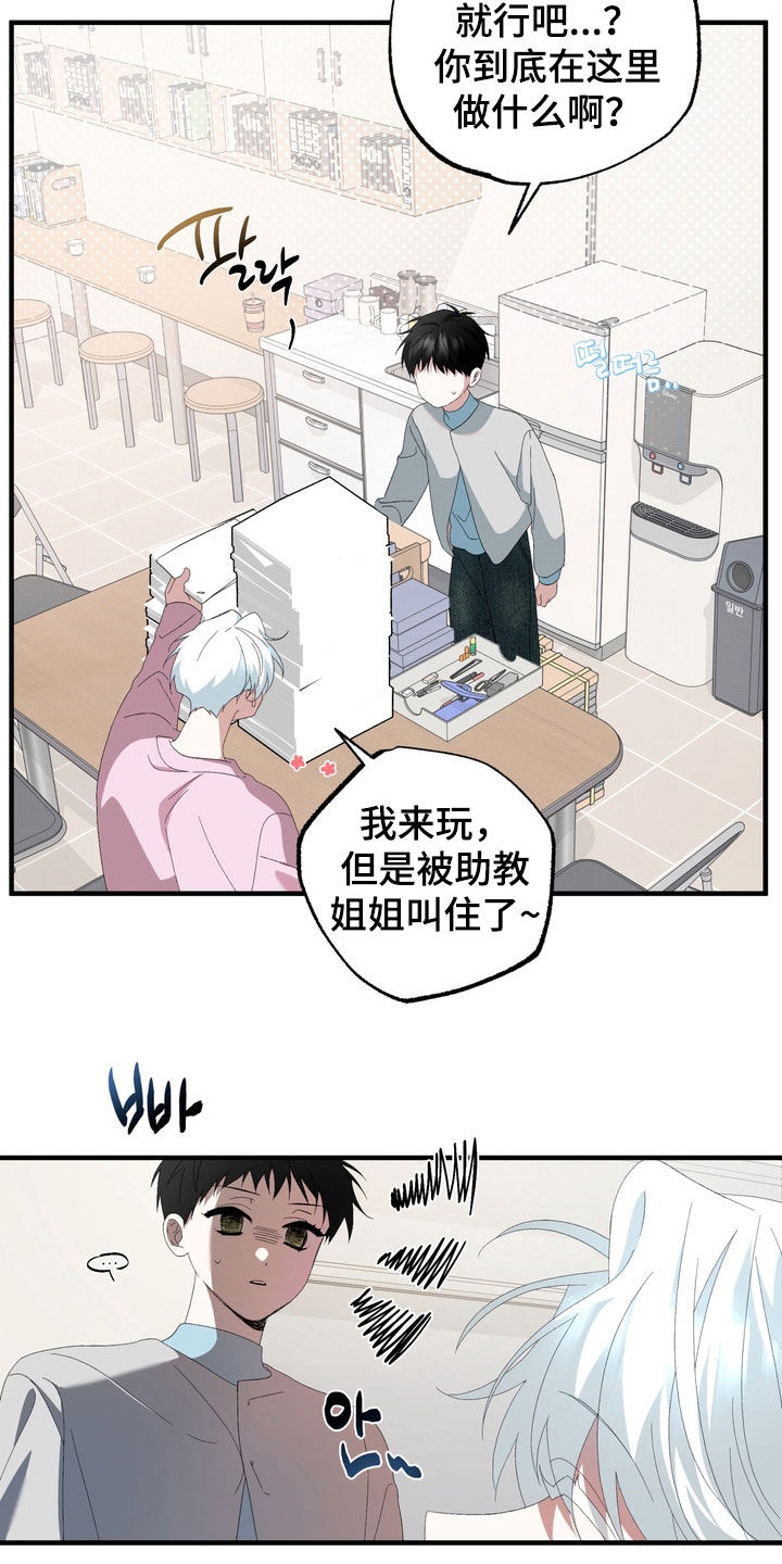 我的老鼠学长漫画,第40章：都怪老鼠1图