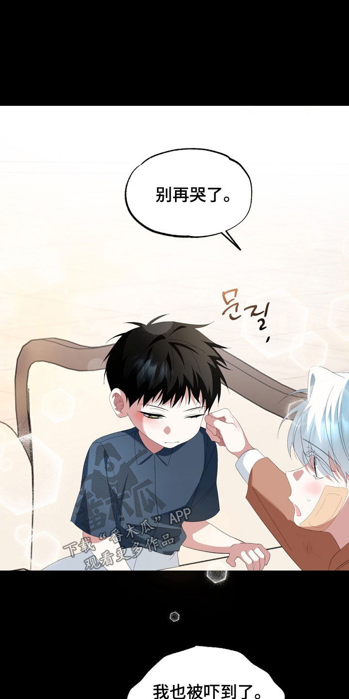 我的老鼠学长漫画,第39章：初恋3图
