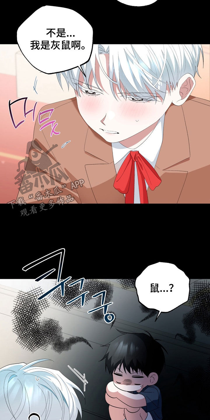 我的老鼠学长漫画,第38章：不是亲生的2图