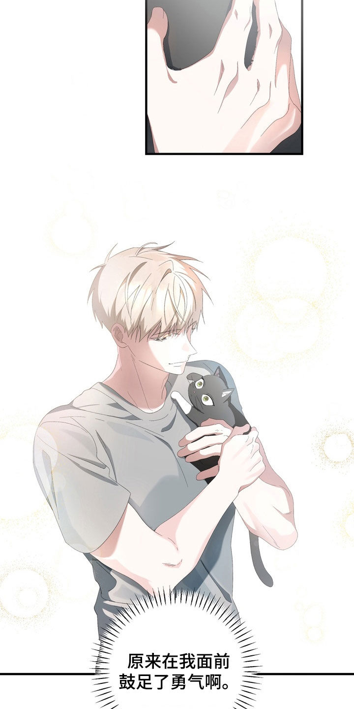 我的老鼠学长漫画,第43章：道歉2图