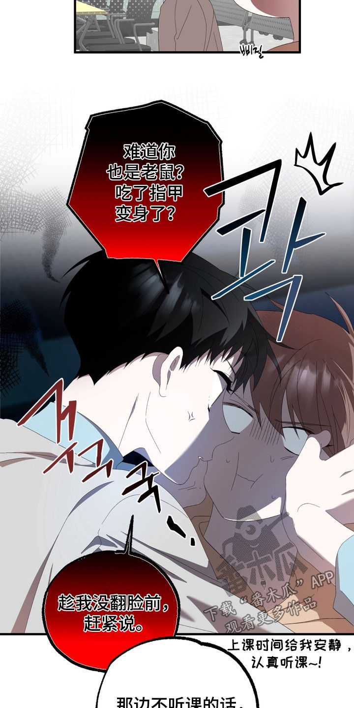 我的老鼠学长漫画,第40章：都怪老鼠5图