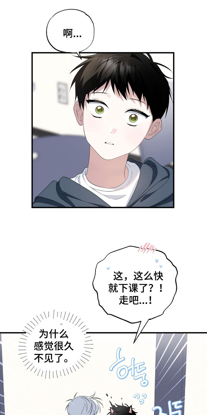 我的老鼠学长漫画,第43章：道歉1图
