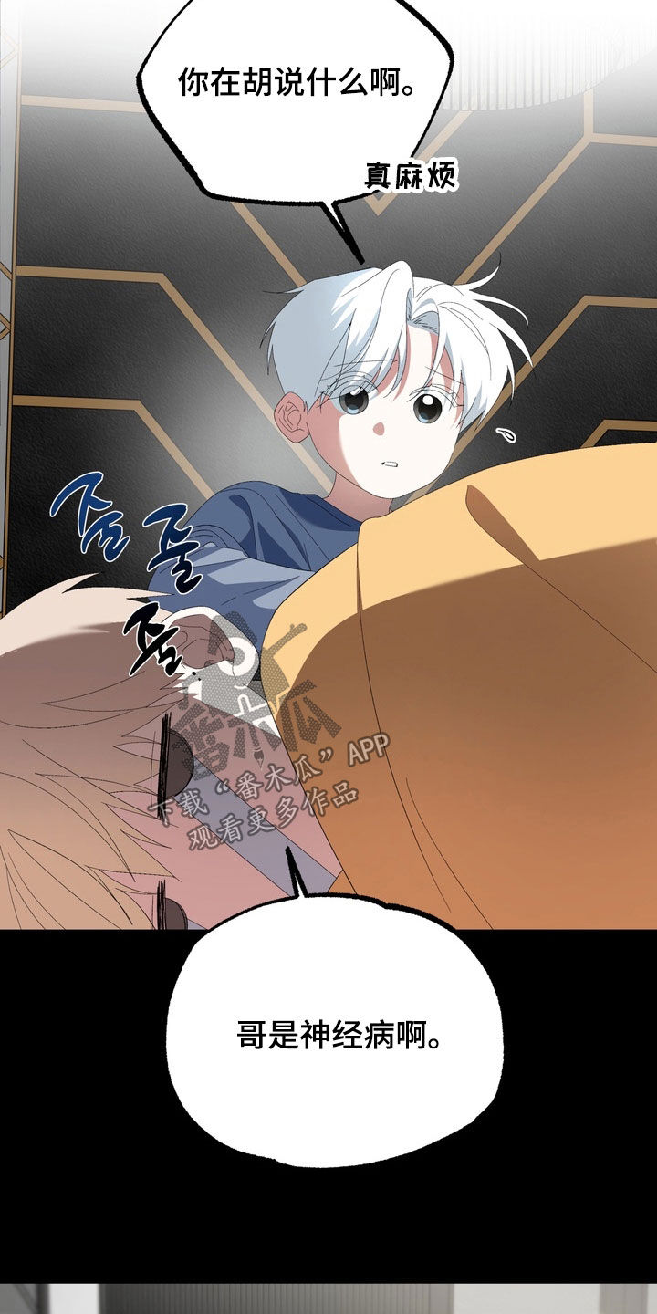 我的老鼠学长漫画,第42章：兄弟2图