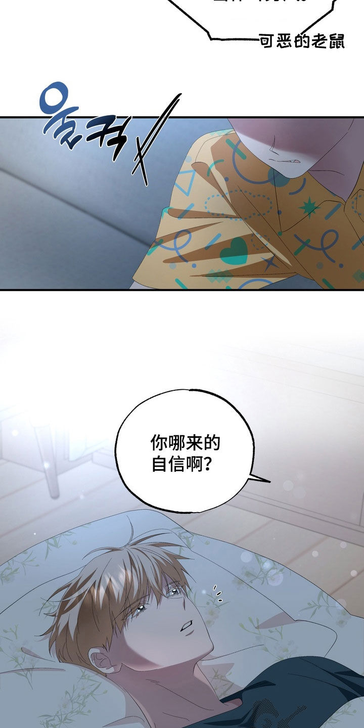 我的老鼠学长漫画,第37章：你不是讨厌我4图
