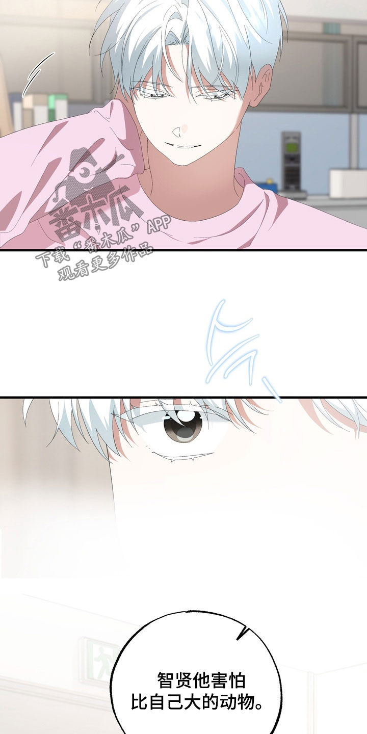 我的老鼠学长漫画,第41章：心里不太好受3图