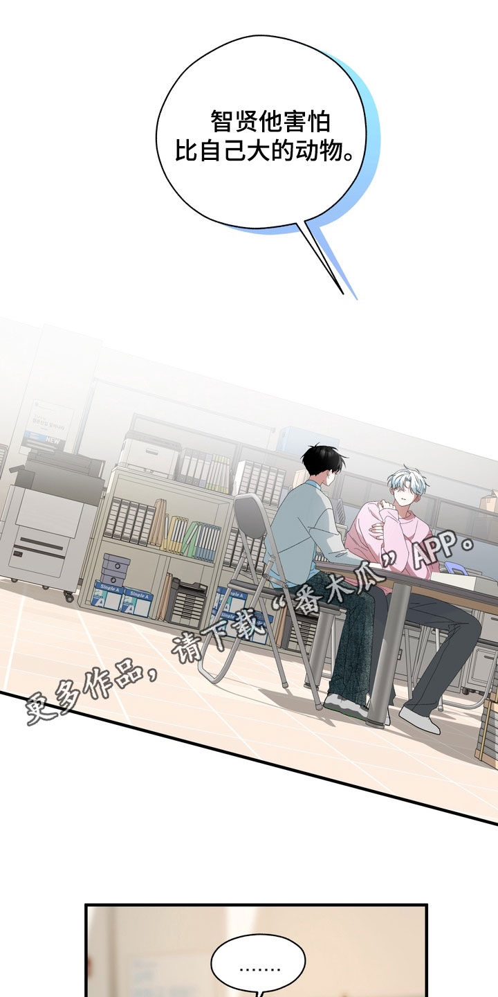 我的老鼠学长漫画,第42章：兄弟1图