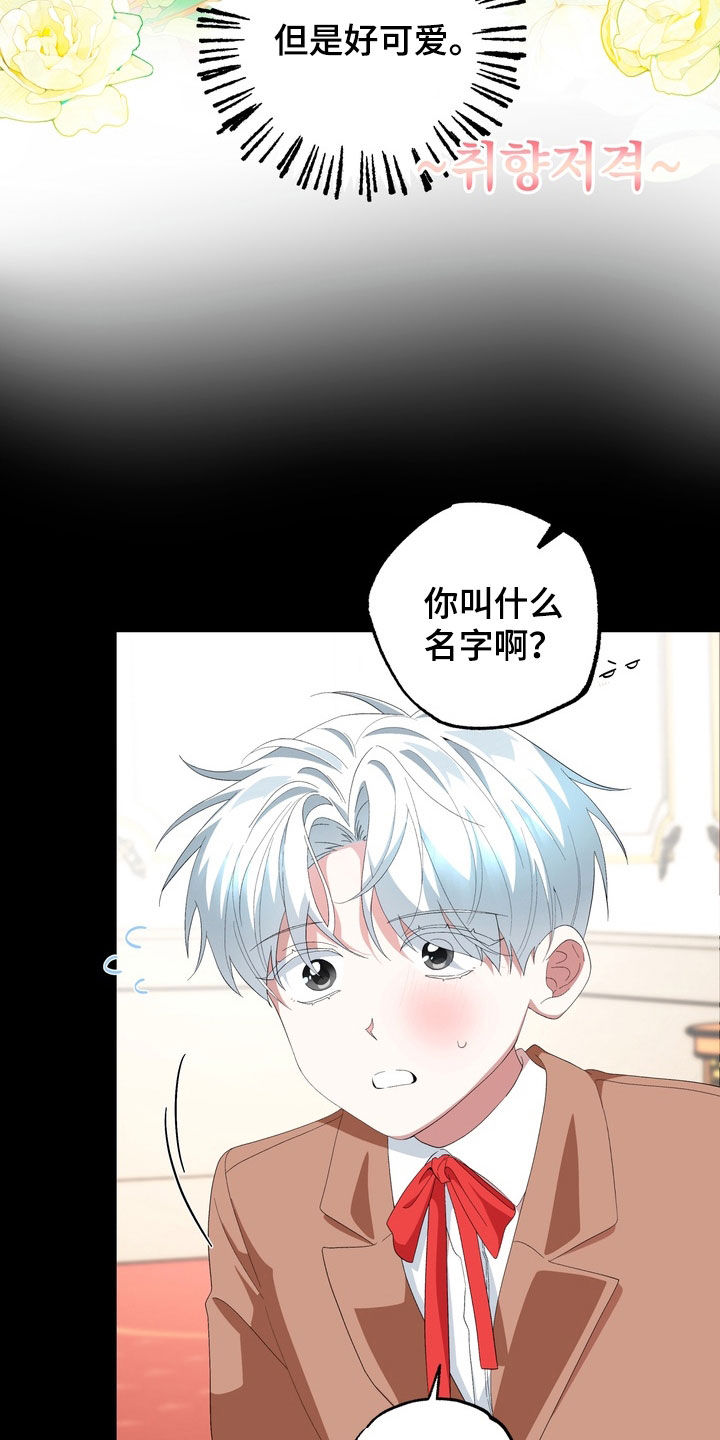 我的老鼠学长漫画,第38章：不是亲生的5图
