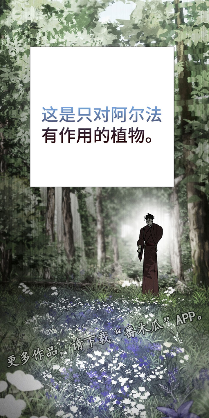 异世界奴隶漫画,第55章：蛇眼草4图