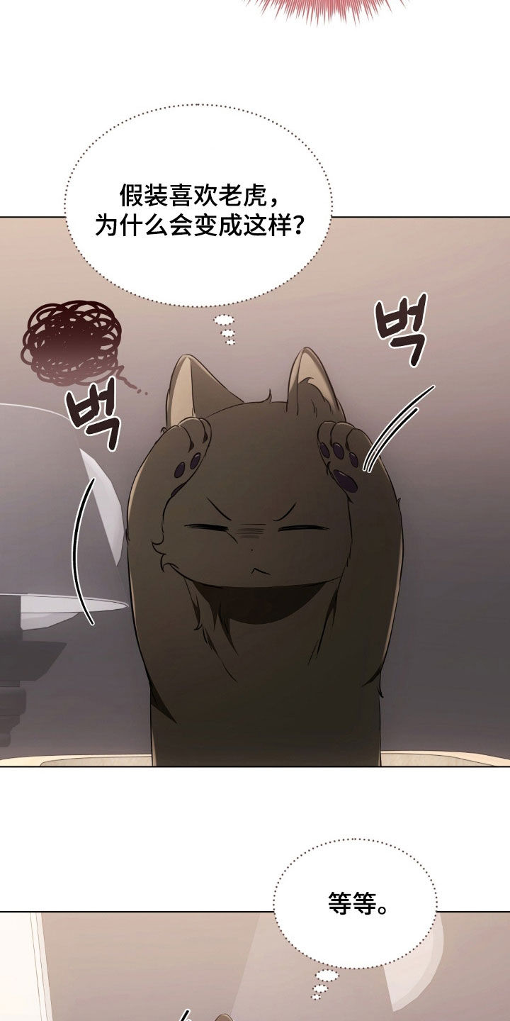 我的黑猫少年韩漫免费阅读漫画,第48章：报复回去2图