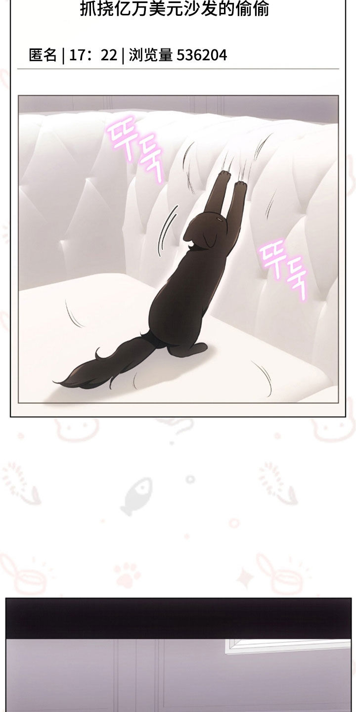 我的黑猫少年韩漫免费阅读漫画,第51章：很像父亲2图