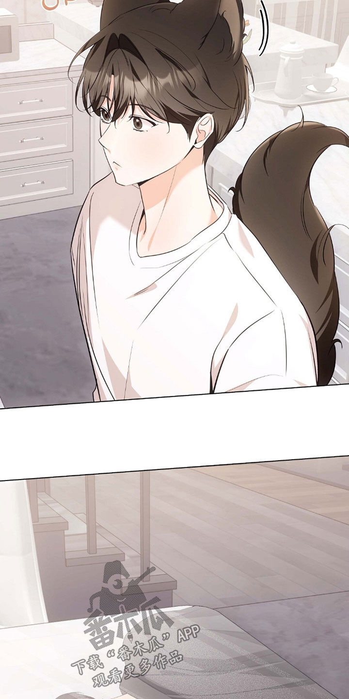 我的黑猫少年韩漫免费阅读漫画,第45章：确认一下5图