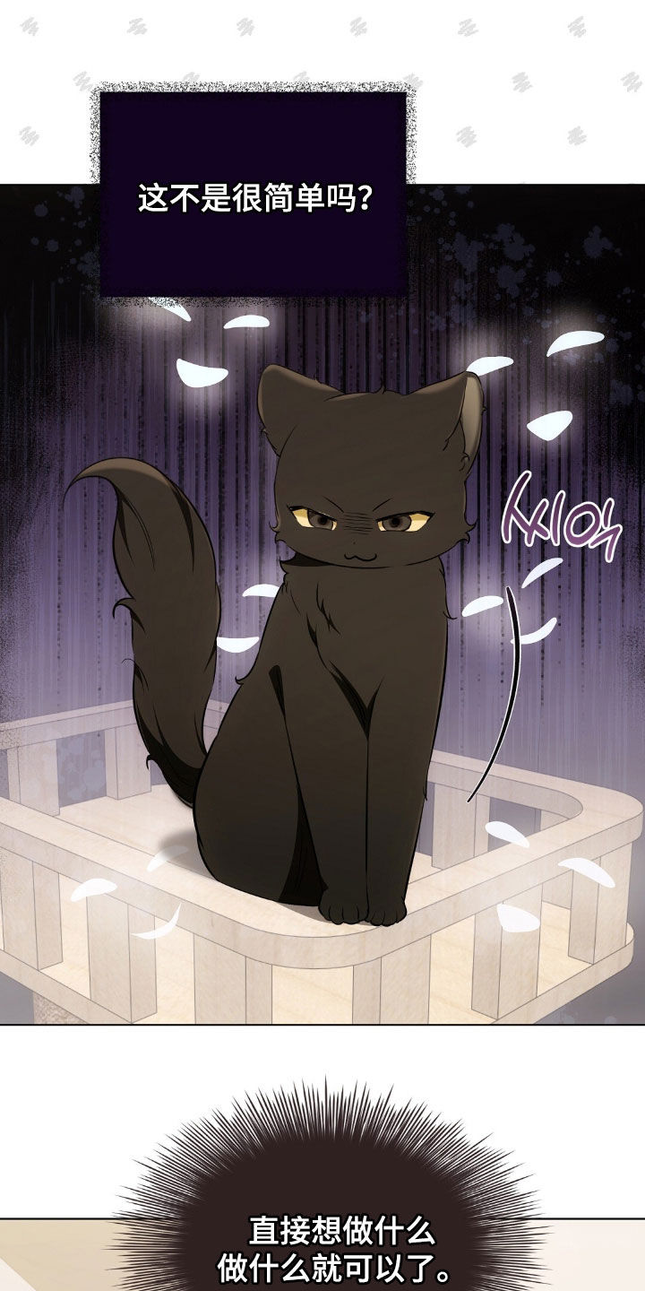 我的黑猫少年合集漫画,第48章：报复回去5图