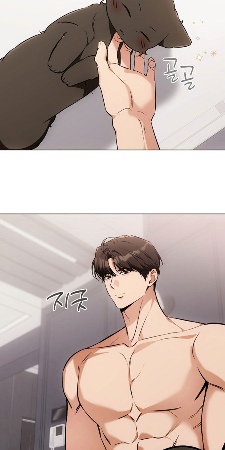 我的黑猫少年韩漫漫画,第49章：闯祸1图
