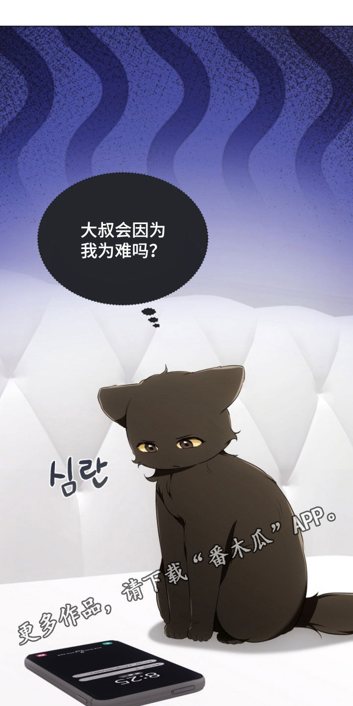 我的黑猫少年韩漫免费阅读漫画,第43章：保持距离1图