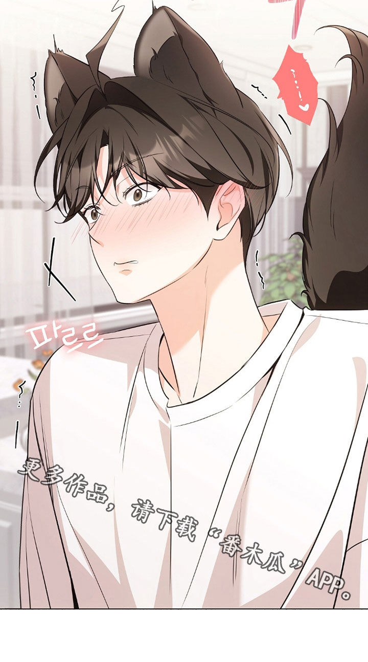 我的黑猫少年在线阅读漫画,第45章：确认一下1图