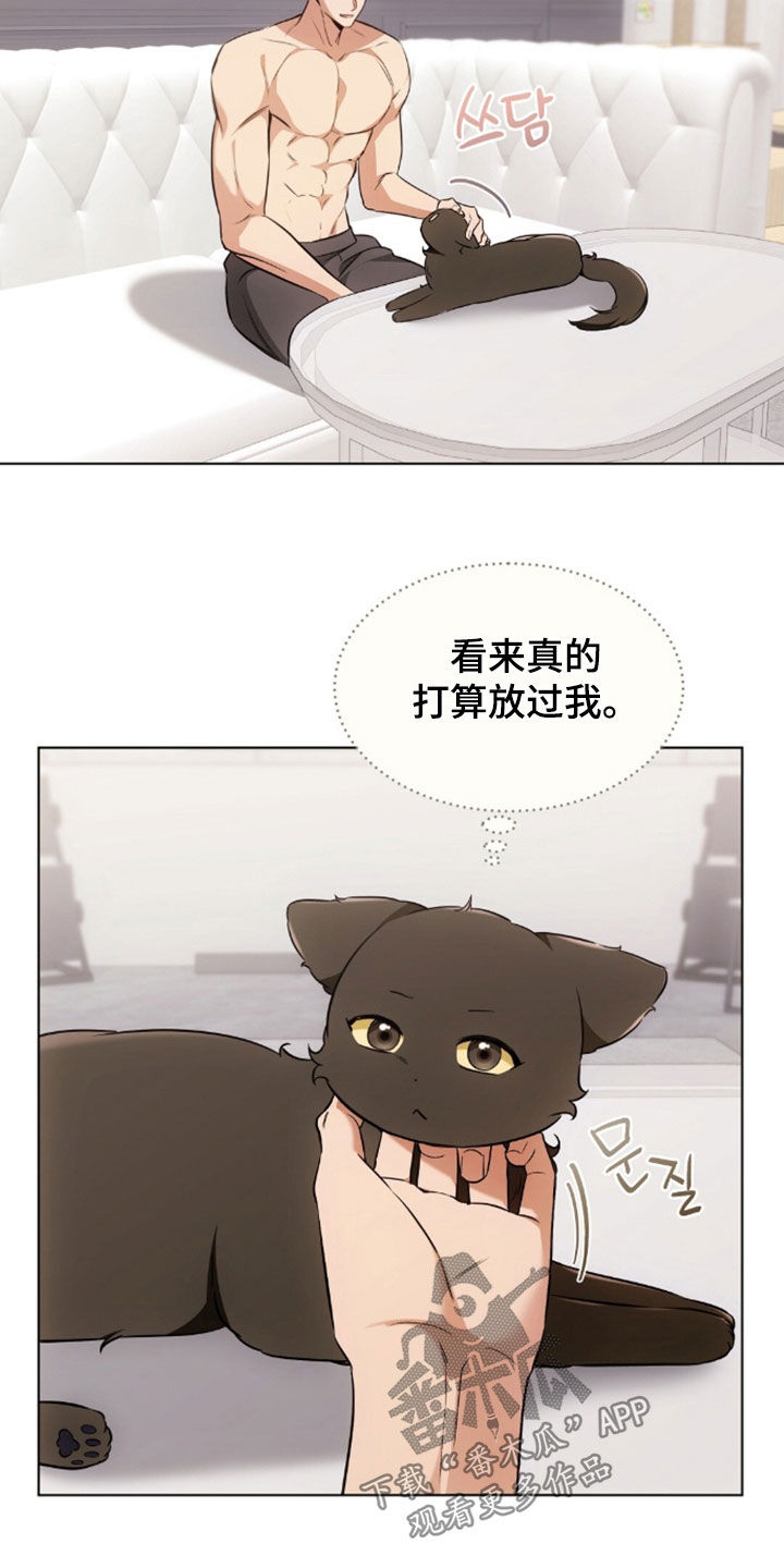 我的黑猫少年韩漫漫画,第49章：闯祸4图