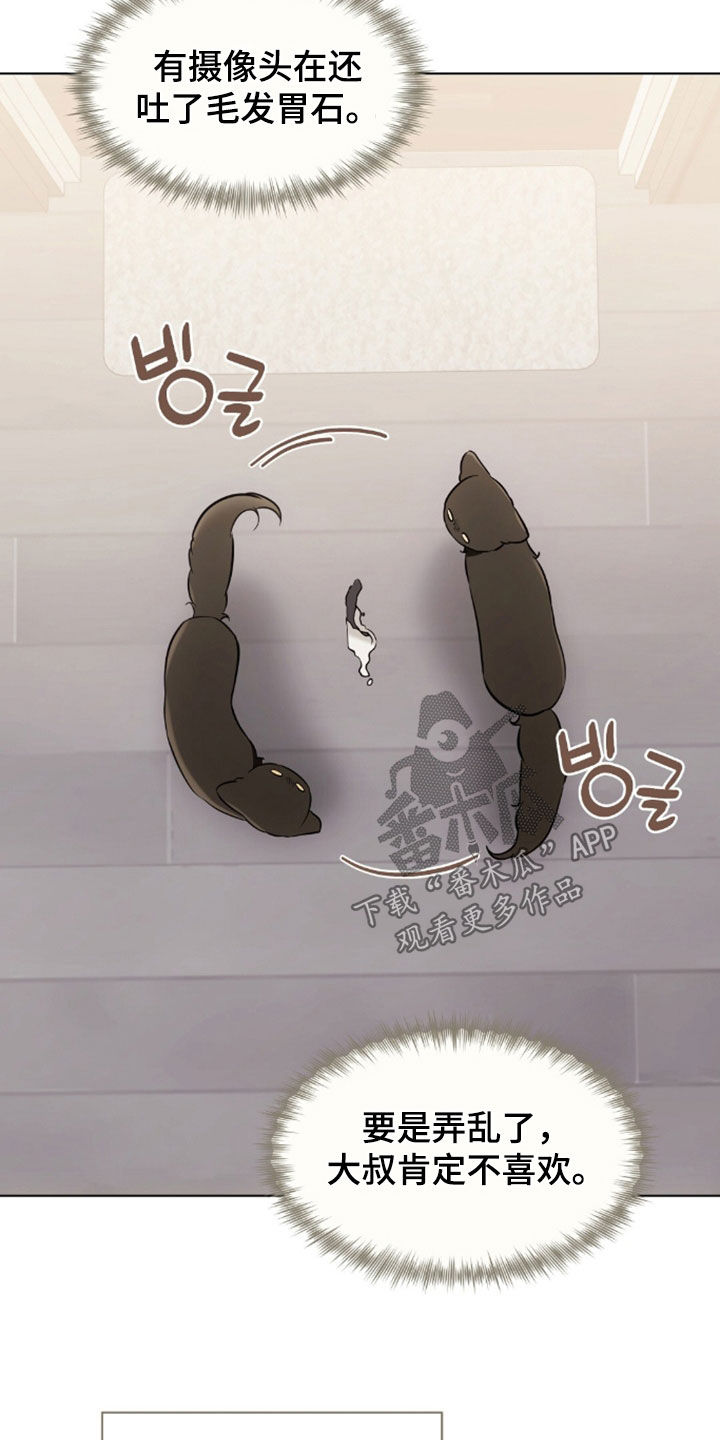 我的黑猫男友动漫在线观看樱花岛漫画,第50章：吐了4图
