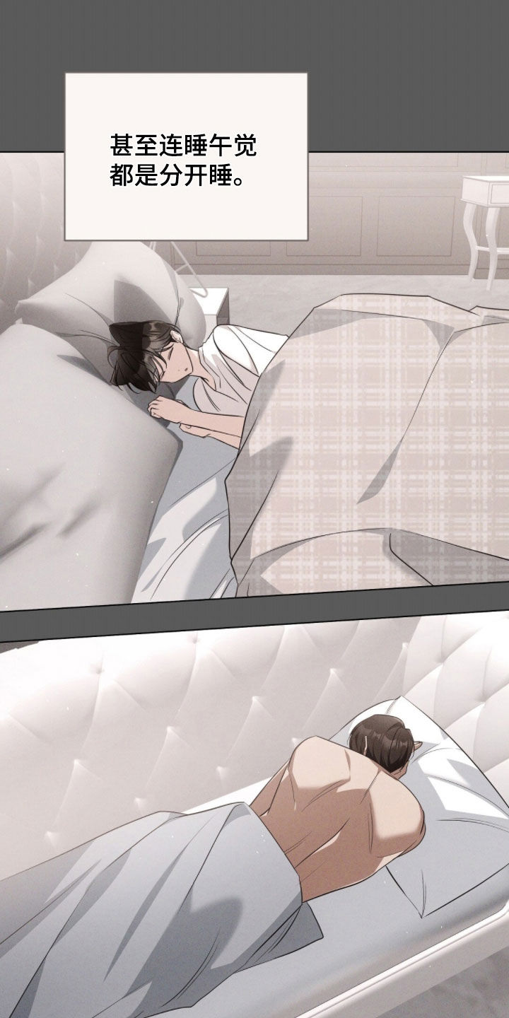 我的黑猫少年韩漫免费阅读漫画,第43章：保持距离5图