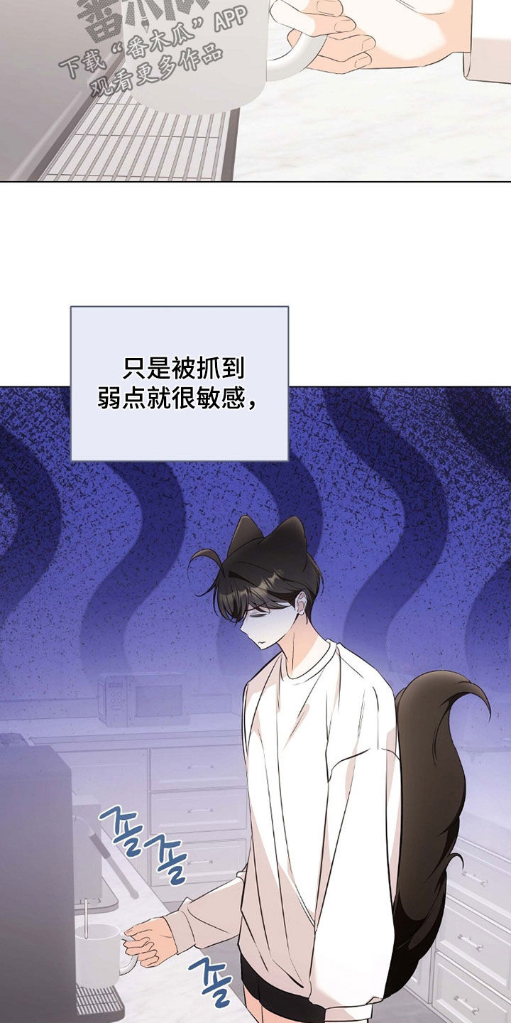 我的黑猫少年韩漫免费阅读漫画,第45章：确认一下1图