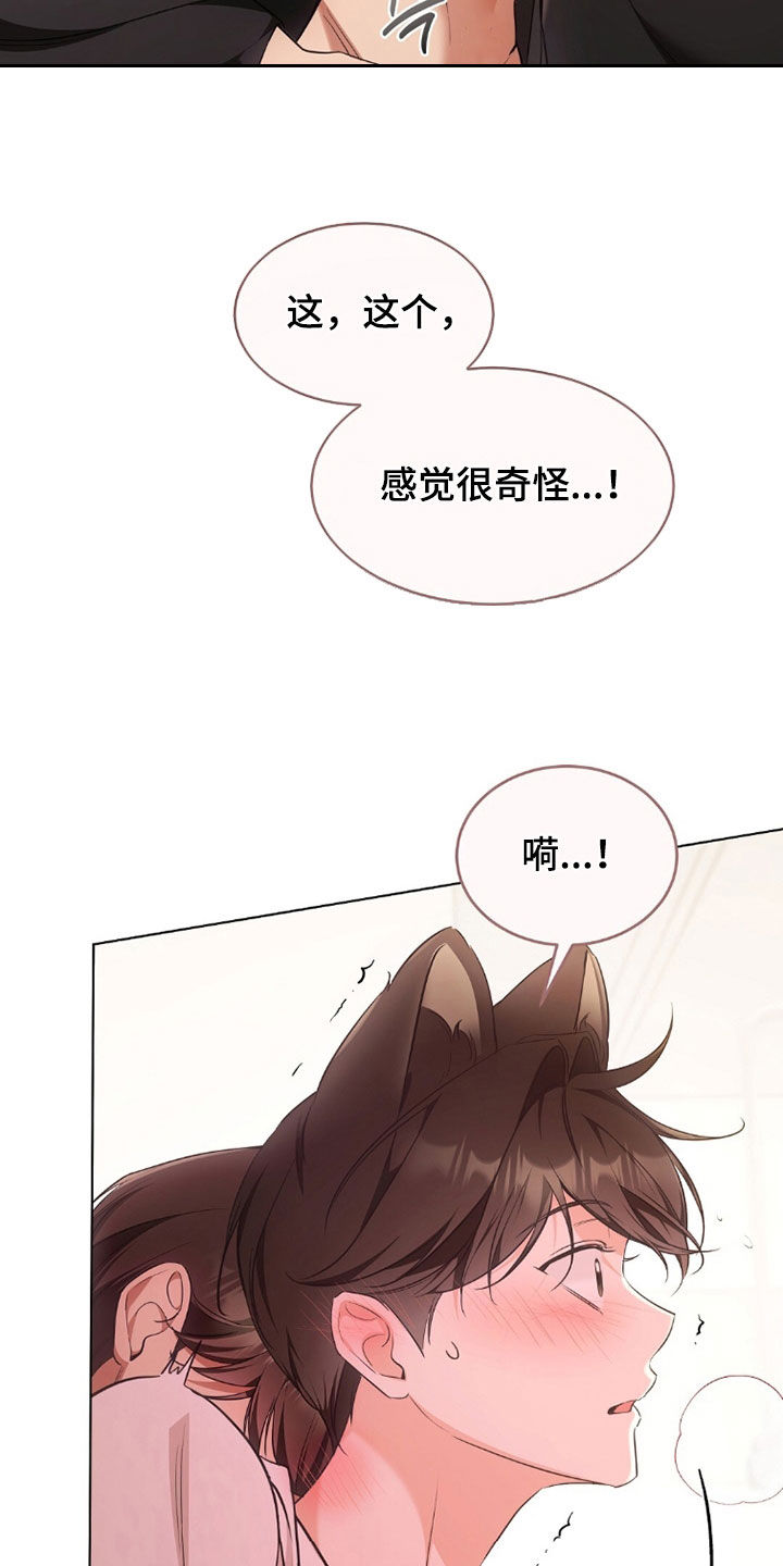 我的黑猫男友小短篇漫画,第46章：放开我2图