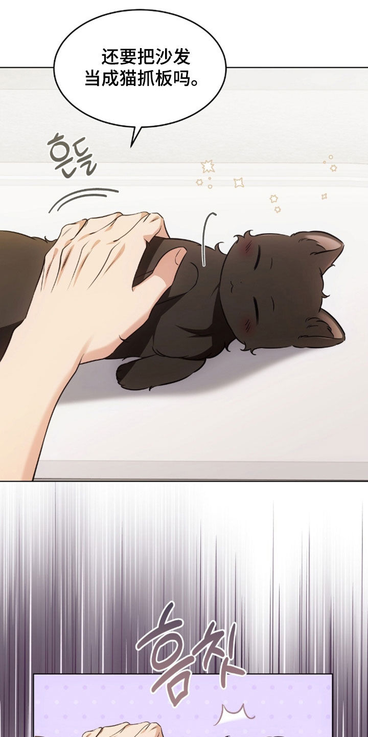 我的黑猫少年韩漫漫画,第49章：闯祸1图