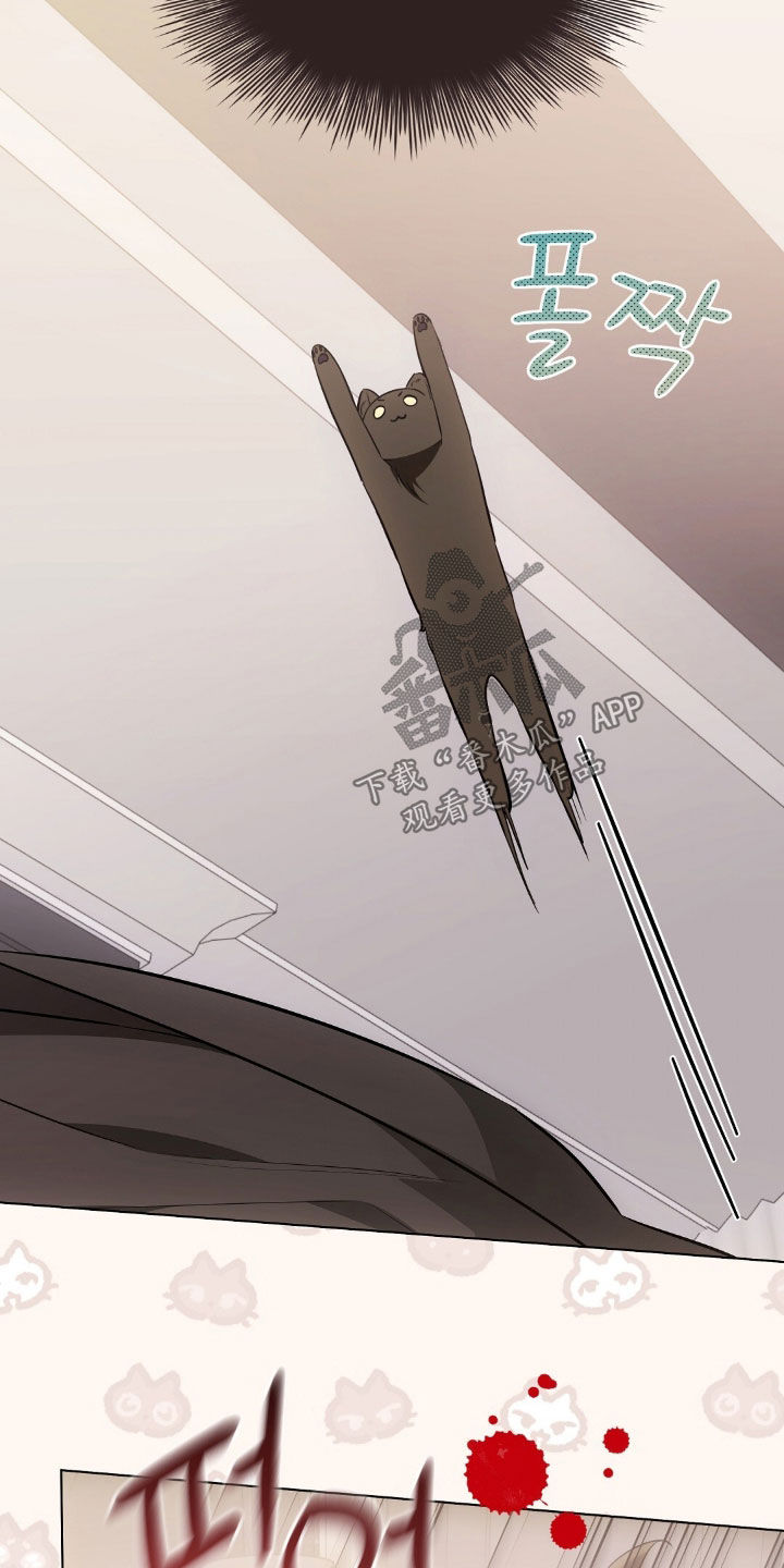 我的黑猫少年漫画,第48章：报复回去1图