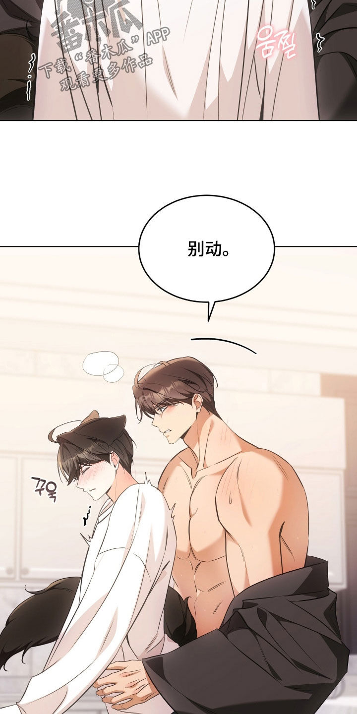 我的黑猫和白猫阅读题答案漫画,第47章：怎么可以那样4图