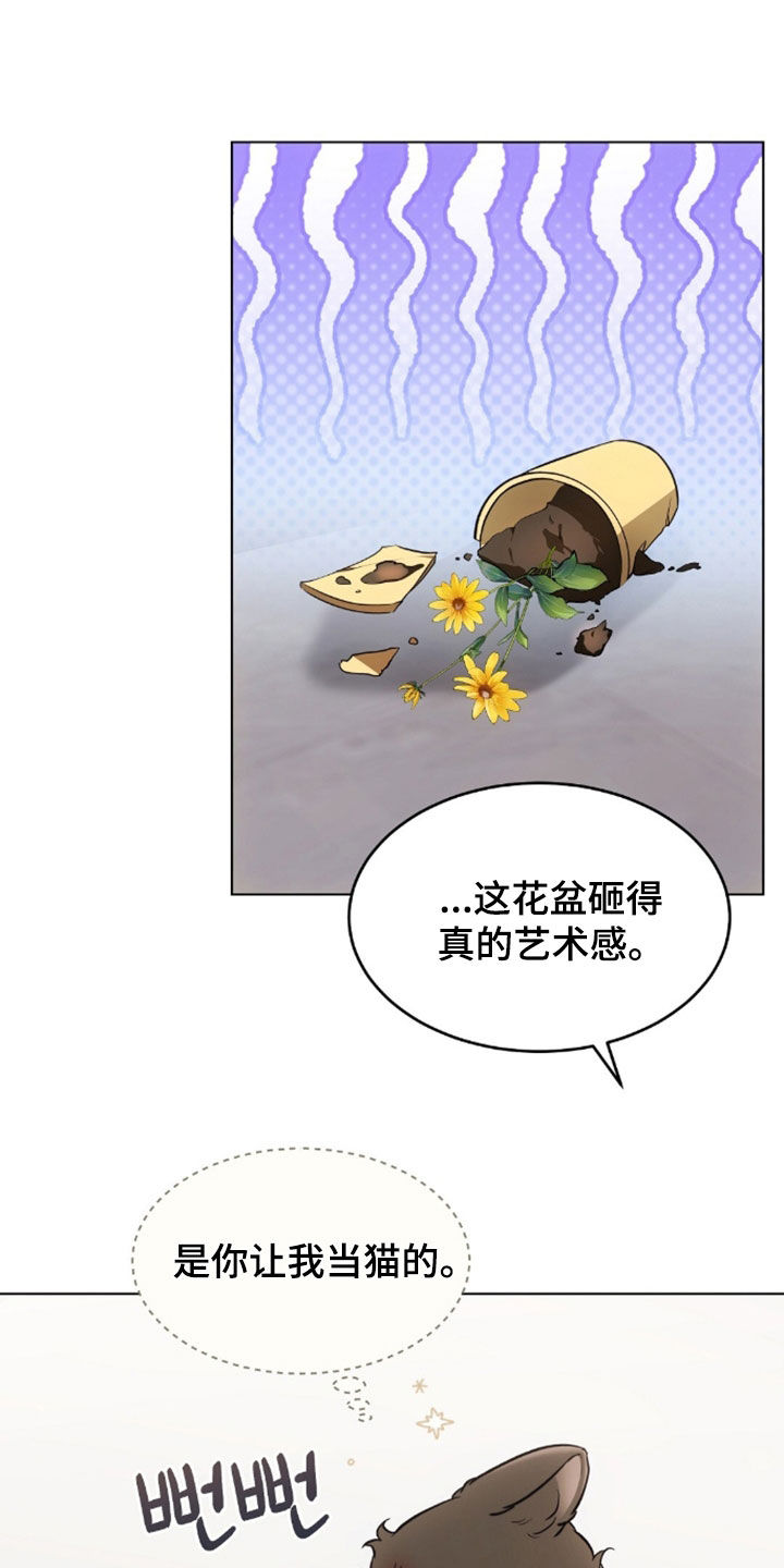 我的黑猫少年韩漫漫画,第49章：闯祸5图