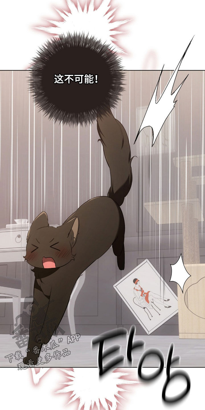 我的黑猫少年韩漫免费阅读漫画,第48章：报复回去3图