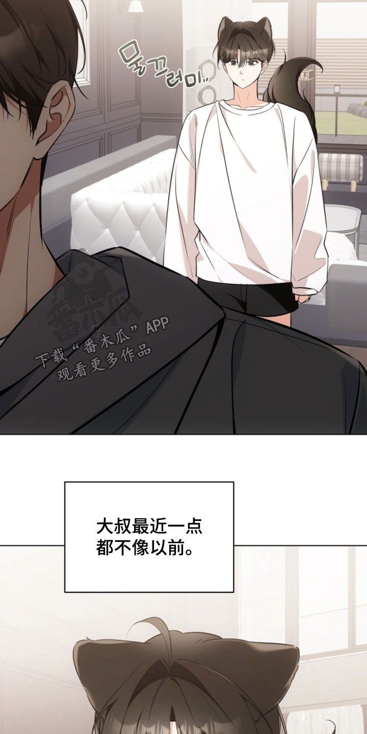 我的黑猫少年韩漫免费阅读漫画,第43章：保持距离1图