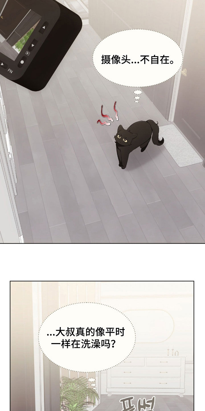 《我的黑猫少年》漫画漫画,第50章：吐了2图