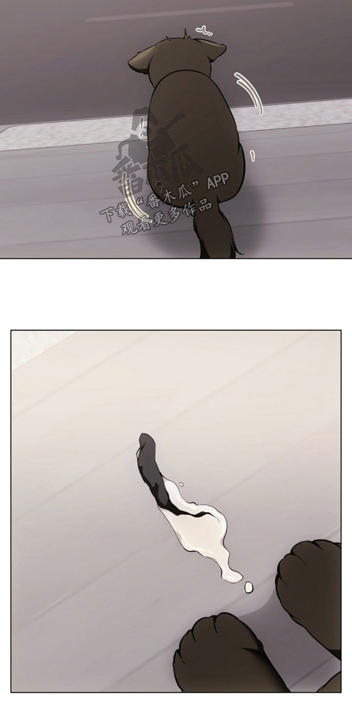 我的黑猫男友动漫在线观看樱花岛漫画,第50章：吐了2图