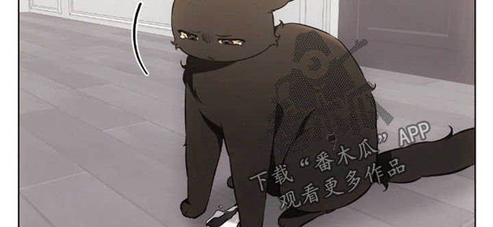 《我的黑猫少年》漫画漫画,第50章：吐了2图