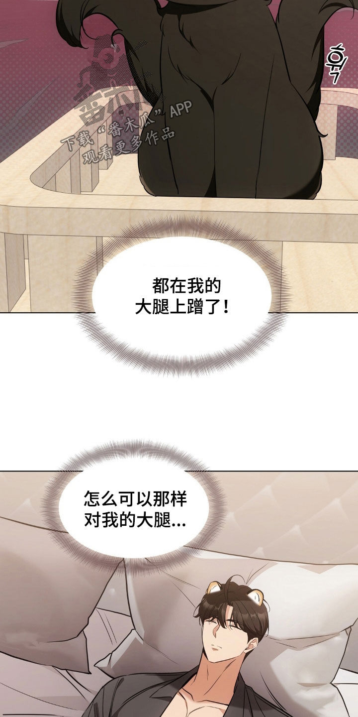 我的黑猫男友小短篇漫画,第47章：怎么可以那样4图