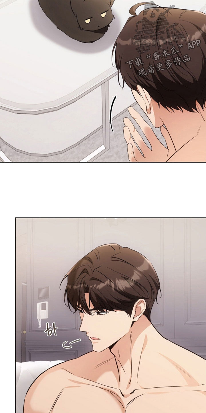 我的黑猫少年韩漫漫画,第49章：闯祸3图