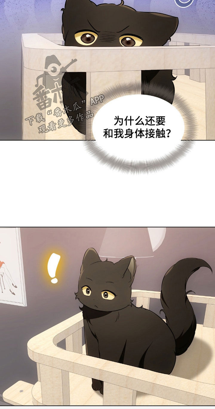 我的黑猫少年合集漫画,第48章：报复回去1图