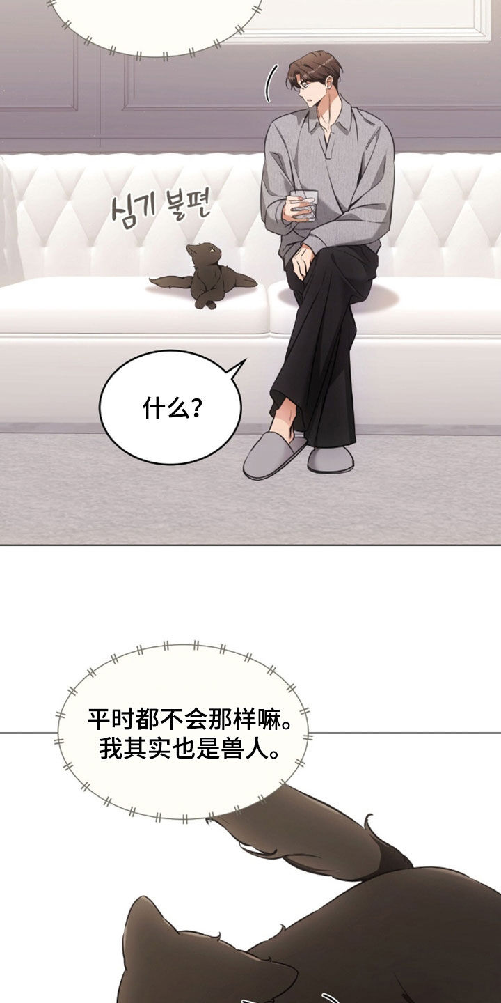 我的黑猫少年韩漫免费阅读漫画,第51章：很像父亲5图